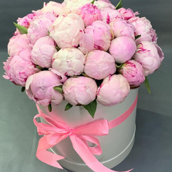 25 розовых пионов в коробке